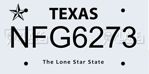NFG6273 Texas License Plate
