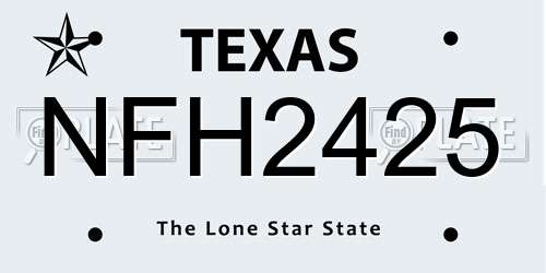 NFH2425 Texas License Plate