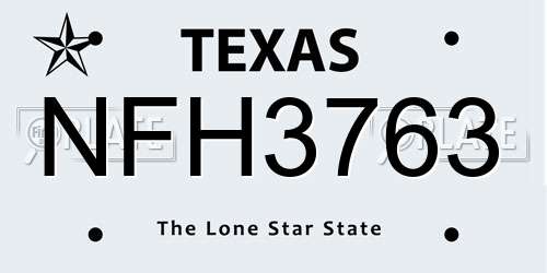NFH3763 Texas License Plate
