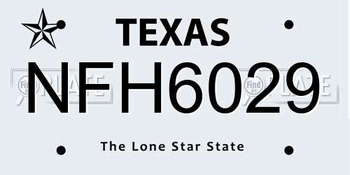 NFH6029 Texas License Plate