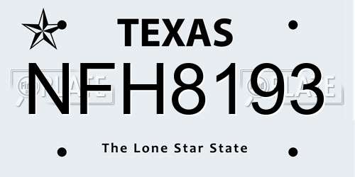 NFH8193 Texas License Plate
