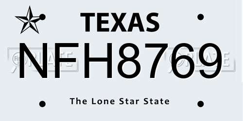 NFH8769 Texas License Plate