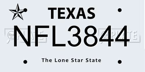NFL3844 Texas License Plate