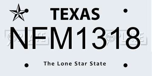 NFM1318 Texas License Plate