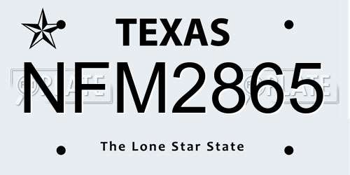 NFM2865 Texas License Plate
