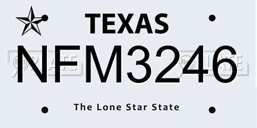 NFM3246 Texas License Plate