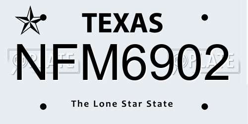 NFM6902 Texas License Plate
