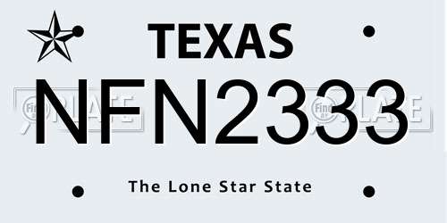 NFN2333 Texas License Plate