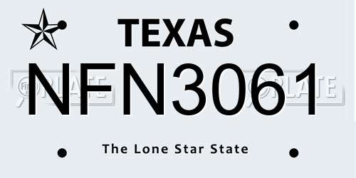 NFN3061 Texas License Plate