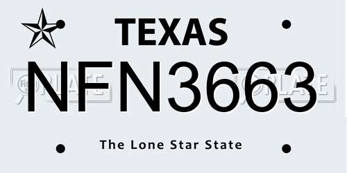 NFN3663 Texas License Plate