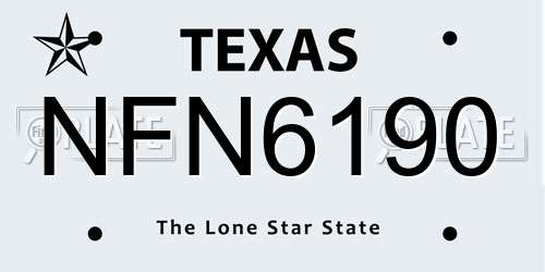 NFN6190 Texas License Plate