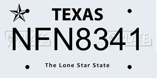 NFN8341 Texas License Plate