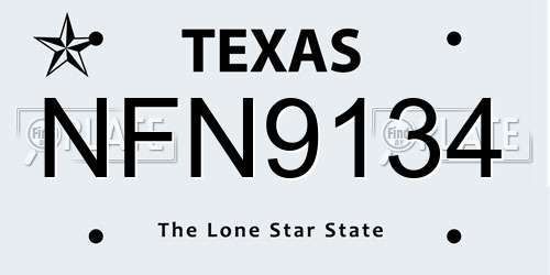 NFN9134 Texas License Plate