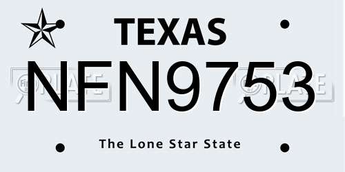 NFN9753 Texas License Plate