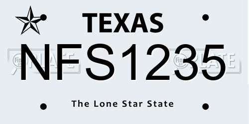 NFS1235 Texas License Plate