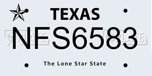 NFS6583 Texas License Plate