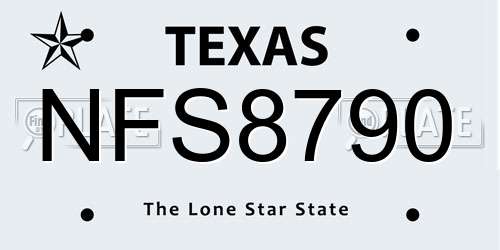 NFS8790 Texas License Plate