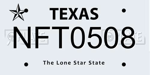 NFT0508 Texas License Plate