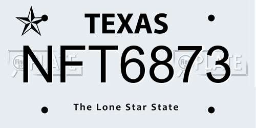 NFT6873 Texas License Plate