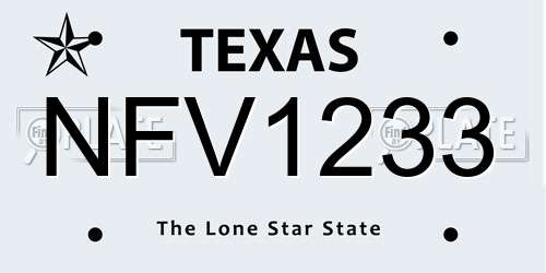 NFV1233 Texas License Plate