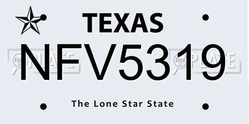 NFV5319 Texas License Plate