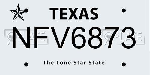 NFV6873 Texas License Plate