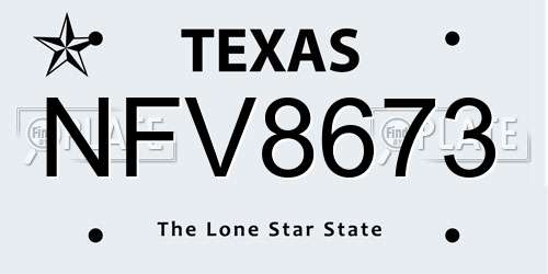 NFV8673 Texas License Plate