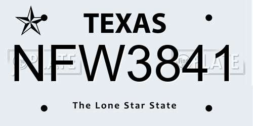 NFW3841 Texas License Plate