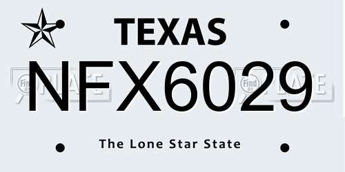 NFX6029 Texas License Plate