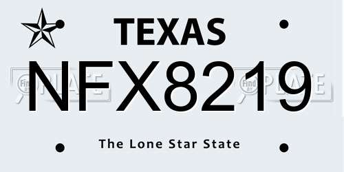 NFX8219 Texas License Plate