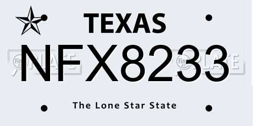 NFX8233 Texas License Plate