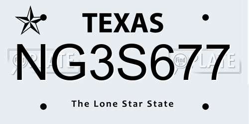 NG3S677 Texas License Plate