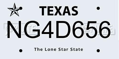 NG4D656 Texas License Plate