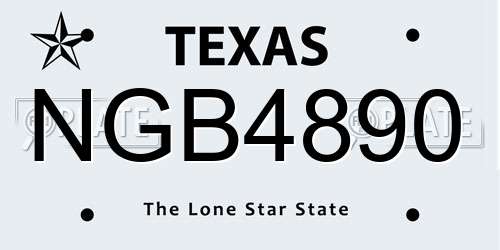 NGB4890 Texas License Plate