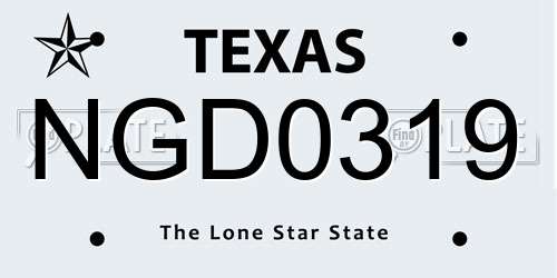 NGD0319 Texas License Plate