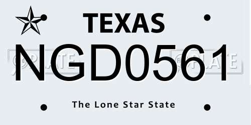 NGD0561 Texas License Plate