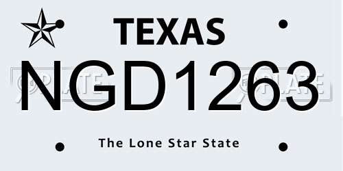 NGD1263 Texas License Plate