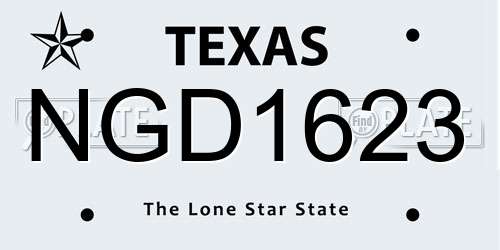 NGD1623 Texas License Plate