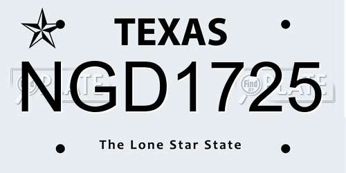 NGD1725 Texas License Plate