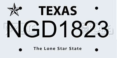 NGD1823 Texas License Plate