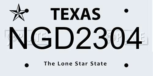 NGD2304 Texas License Plate