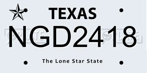 NGD2418 Texas License Plate