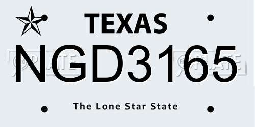 NGD3165 Texas License Plate