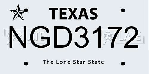 NGD3172 Texas License Plate