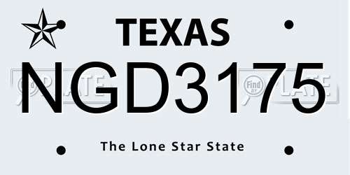 NGD3175 Texas License Plate