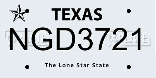 NGD3721 Texas License Plate