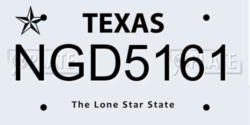 NGD5161 Texas License Plate