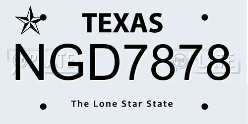 NGD7878 Texas License Plate