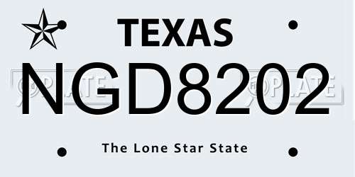 NGD8202 Texas License Plate