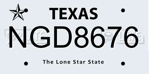 NGD8676 Texas License Plate